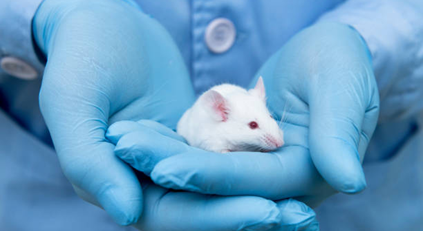 Laboratory of Animal Research