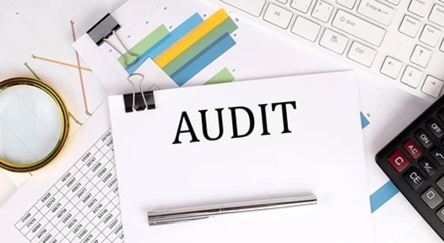 Audit Cell